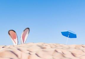 Hase Ohren spähen Über sandig Dünen mit ein Strand Regenschirm foto