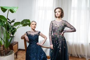 zwei Frauen im ein Blau Kleid Stand im Vorderseite von ein hölzern Kabinett foto
