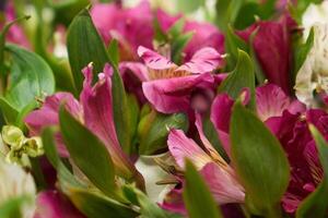 ein Strauß von Blumen im Nahansicht foto