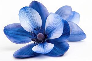 ai generiert ein Blau Blume , isoliert auf Weiß Hintergrund foto