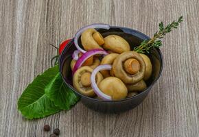 eingelegt Champignon im das Schüssel foto