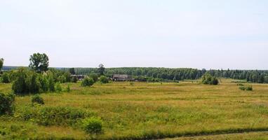 Grün Senke Feld foto