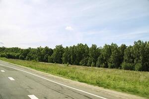 Straße in der Nähe von Wald foto