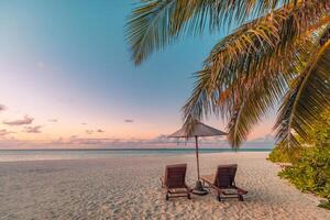 tolle Strand. romantisch Stühle Regenschirm auf sandig Strand Palme Blätter, Sonne Meer Himmel. Sommer- Urlaub Paare Urlaub. Liebe glücklich tropisch Landschaft. still Insel Küste entspannen schön Landschaft Tourismus foto