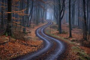 ai generiert schön tropisch Urwald Natur Fachmann Fotografie foto