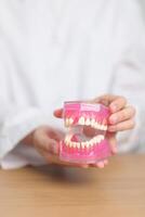 Zahnarzt mit Zahn Anatomie Modell. Oral Zähne und Krankheit, kratzen aus Zahnstein. März Oral Gesundheit, Zahnarzt Tag, falsch Zähne. Zahnschmerzen und Kinder Dental Gesundheit Monat und kieferorthopädisch Gesundheit Tag foto