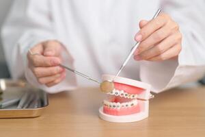 Zahnarzt mit kieferorthopädisch Zahn Modell- und Halterung oder befestigen. sauber und kratzen aus Zahnstein. kann kieferorthopädisch Gesundheit Tag, März Oral Gesundheit, Zahnarzt Tag, falsch Zähne. Zahnschmerzen und Kinder Dental Gesundheit foto