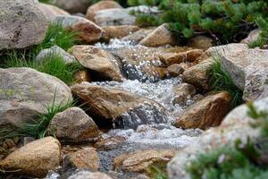 ai generiert Wasser fließen Natur Fachmann Fotografie foto