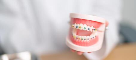 Zahnarzt mit kieferorthopädisch Zahn Modell- und Halterung oder befestigen. sauber und kratzen aus Zahnstein. kann kieferorthopädisch Gesundheit Tag, März Oral Gesundheit, Zahnarzt Tag, falsch Zähne. Zahnschmerzen und Kinder Dental Gesundheit foto