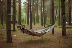 ai generiert bekommen gestartet mit Camping Hängematte Fachmann Fotografie foto