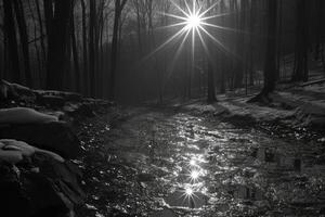 ai generiert unheimlich Grün dunkel Wald Natur Fachmann Fotografie foto