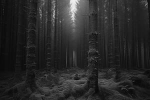 ai generiert unheimlich Grün dunkel Wald Natur Fachmann Fotografie foto