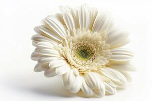 ai generiert ein Weiß Blume, isoliert auf Weiß Hintergrund foto