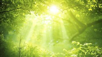ai generiert zauberhaft Leise Wald im Frühling mit schön hell Sonne Strahlen wie magisch Wald Hintergrund foto