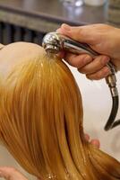 Friseur hält Bewässerung und Wasser Wasser gießt das Haar von das Klient im das Schönheit Salon. hoch Qualität Foto