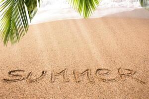 sandig Strand mit das Inschrift Sommer- auf ein sonnig Tag unter ein Palme Baum. hoch Qualität Foto