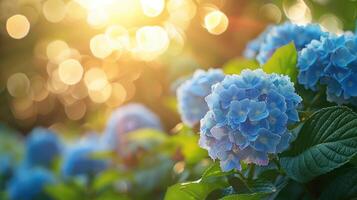 ai generiert schön hell Hintergrund von ein Sommer- Garten mit ein blühen Blau Hortensie Busch foto