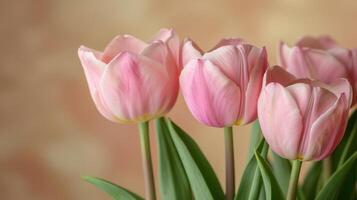 ai generiert Nahansicht von Rosa Tulpe Blumen auf ein Beige Hintergrund mit Raum zum Text foto