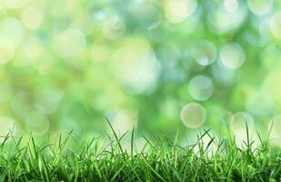 ai generiert frisch Gras, Garten und Zen foto
