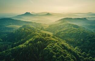 ai generiert Antenne Aussicht von Grün Wälder im das Berge mit Berge und klar Himmel foto