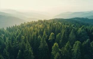 ai generiert Antenne Aussicht von Grün Wälder im das Berge mit Berge und klar Himmel foto