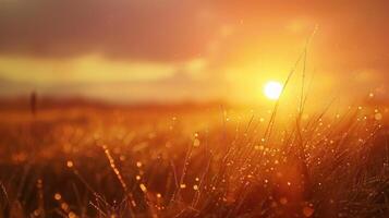 ai generiert wie das Sonne steigt auf, Gemälde das Himmel im Farbtöne von Gold und Rosa, vom Tau geküsst Gras Teppiche das Erde foto