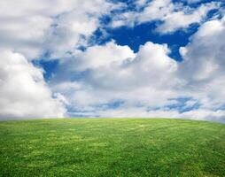 Gras und Himmel foto