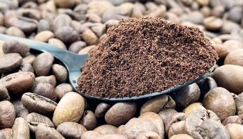 gegen das Hintergrund von geröstet aromatisch Kaffee Bohnen Lügen ein Metall Löffel gefüllt mit Boden Kaffee. ein trinken gemacht von geröstet und Boden Bohnen von das Kaffee Baum oder Kaffee Busch. foto