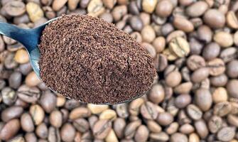 Boden Kaffee Pulver im ein Metall Löffel im das Vordergrund, gegen das Hintergrund von geröstet aromatisch Kaffee Bohnen. Kaffee Konzept. foto