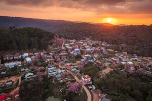 Sonnenuntergang Über thailändisch Stamm Dorf mit wild Himalaya Kirsche Baum Blühen im Landschaft beim Verbot rong kl foto