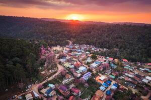 Sonnenuntergang Über thailändisch Stamm Dorf mit wild Himalaya Kirsche Baum Blühen im Landschaft beim Verbot rong kl foto