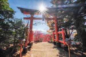 Rotes Torii-Tor im Arakura-Sengen-Schrein mit Berg Fuji im Herbst foto