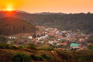 ländlich Szene von thailändisch Stamm Dorf mit wild Himalaya Kirsche Baum Blühen im das Sonnenuntergang beim Verbot rong kla, Thailand foto