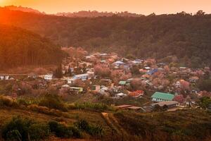 ländlich Szene von thailändisch Stamm Dorf mit wild Himalaya Kirsche Baum Blühen im das Sonnenuntergang beim Verbot rong kla, Thailand foto