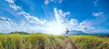 asiatische frauen reisen im urlaub entspannen. stehen natürliche Touch-Gebirgsfeld. Thailand foto