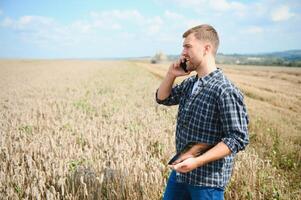 glücklich Farmer stolz Stehen im ein Feld. kombinieren Mähdrescher Treiber gehen zu Ernte Reich Weizen Ernte. Agronom tragen Flanell Shirt, suchen beim Kamera auf ein Ackerland foto