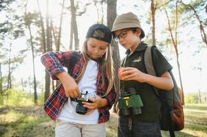 wenig Junge und Mädchen gehen Wandern auf ein Wald Straße foto