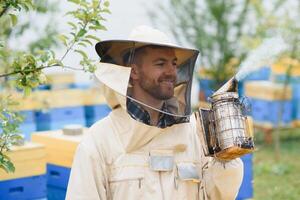 Imker ist Arbeiten mit Bienen und Bienenstöcke auf Bienenhaus. Bienen auf Bienenwabe. Frames von Biene Bienenstock. Bienenzucht. Honig. gesund Lebensmittel. natürlich Produkte. foto