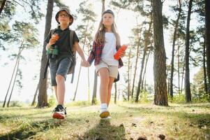 wenig Junge und Mädchen gehen Wandern auf ein Wald Straße foto