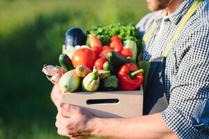 Farmer Hände halten hölzern Box mit anders Gemüse foto