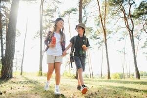 wenig Junge und Mädchen gehen Wandern auf ein Wald Straße foto