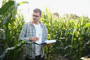 Yong gut aussehend Agronom im das Mais Feld und Prüfung Pflanzen Vor Ernte. Landwirtschaft Konzept. landwirtschaftlich Ingenieur Stehen im ein Mais Feld. foto