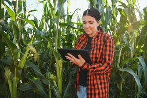 Clever Frau Farmer Agronom mit Digital Tablette zum Prüfung und inspizieren Qualität Steuerung von produzieren Mais Ernte. modern Technologien im Landwirtschaft Verwaltung und Landwirtschaft. foto