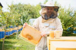 Imker Arbeiten sammeln Honig. Bienenzucht Konzept. foto