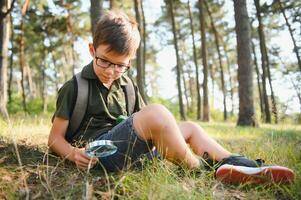 Junge Biologe oder Entomologe Studien Natur. erkunden im das Wald. ein Teenager Studien Insekten. Biologie. Geologie. Expedition im das Wald foto