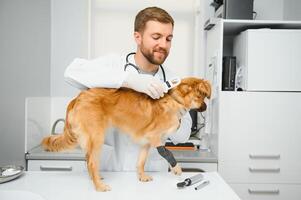 glücklich Tierärzte Prüfung Hund im Klinik foto