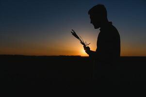 Silhouette von Mann suchen beim schön Landschaft im ein Feld beim Sonnenuntergang. foto