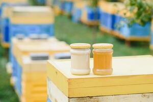 Krug von frisch Honig im ein Glas Krug. Bienenzucht Konzept. oben Sicht. Kopieren Raum. foto