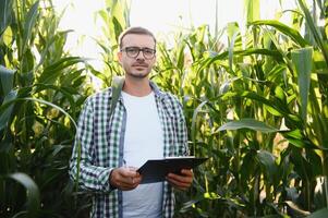 Yong gut aussehend Agronom im das Mais Feld und Prüfung Pflanzen Vor Ernte. Landwirtschaft Konzept. landwirtschaftlich Ingenieur Stehen im ein Mais Feld. foto