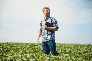 Farmer oder Agronom untersuchen Grün Sojabohne Pflanzen im Feld. foto